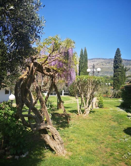 Villetta Blue Garden Sonnino Dış mekan fotoğraf
