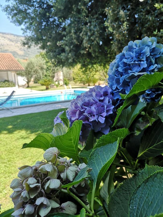 Villetta Blue Garden Sonnino Dış mekan fotoğraf