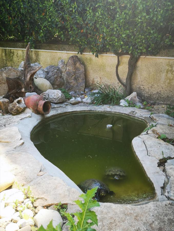 Villetta Blue Garden Sonnino Dış mekan fotoğraf